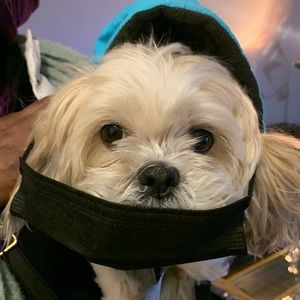 Meet your Posher, Mel